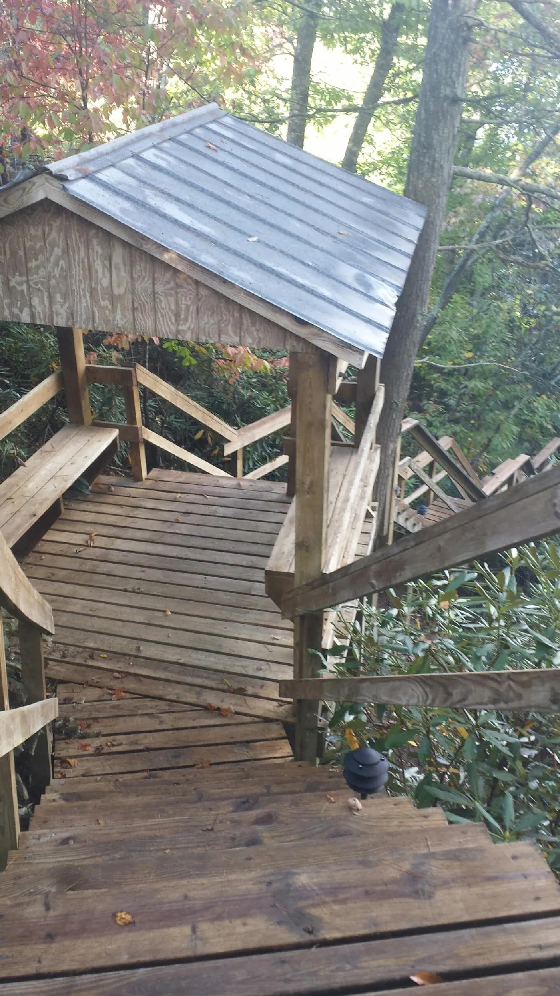 Metal roofed shelter over wooden steps on a wooded walkway — Skylight Repair & Installation work by our crew in Fort Mitchell